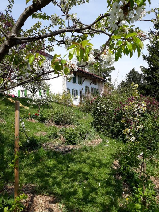 Chez Cathy Bed and Breakfast Arzier Buitenkant foto